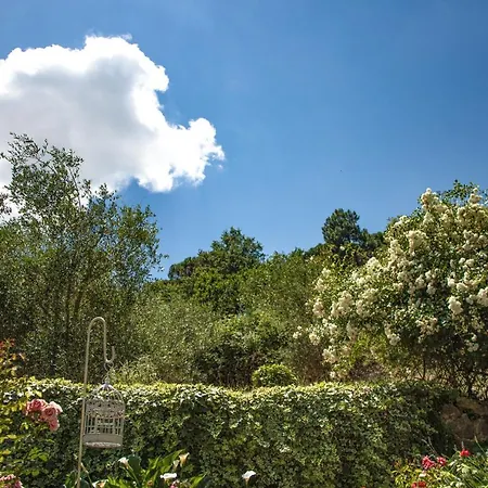 B&B Il Colombaio Di Barbara - Casa D'Artista Casa di campagna *