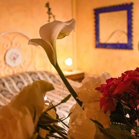 B&B Il Colombaio Di Barbara - Casa D'Artista Casa di campagna Sovicille